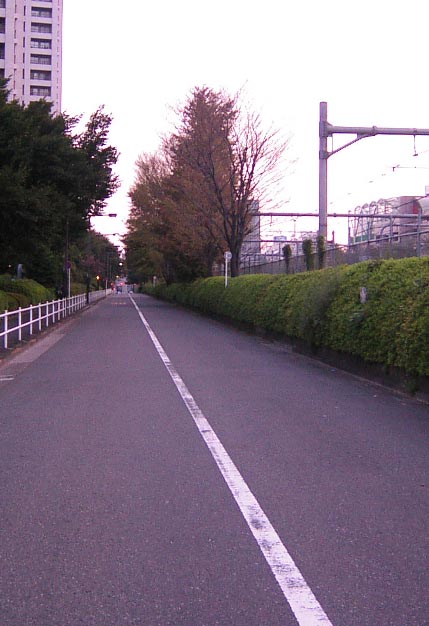 西戸山付近/jpeg